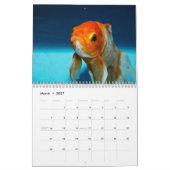Goudvis 2025 kalender (Mar 2027)