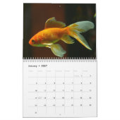 Goudvis 2025 kalender (Jan 2027)