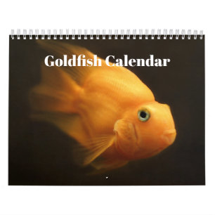 Goudvis 2025 kalender