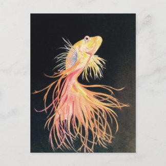 Goudvis (2).jpg briefkaart