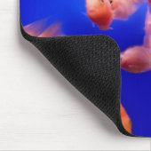 Goudvis 2 muismat (Hoek)