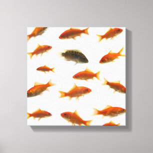 Goudvis 4 canvas afdruk