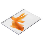 Goudvis (Carassius auratus) 2 Notitieboek (Linkerzijde)