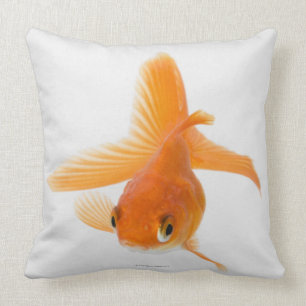 Goudvis (Carassius auratus) Kussen