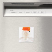 Goudvis (Carassius auratus) Magneet (Insitu (Vaatwasser))