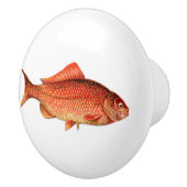  goudvis / goudvis keramische knop (Rechts)