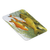 goudvis Koi Fish, Marine Zee Life Magneet (Rechterzijde)