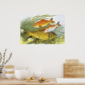  goudvis Koi Fish, Marine Zee Life Poster (Keuken)