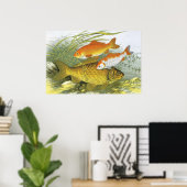  goudvis Koi Fish, Marine Zee Life Poster (Thuiskantoor)