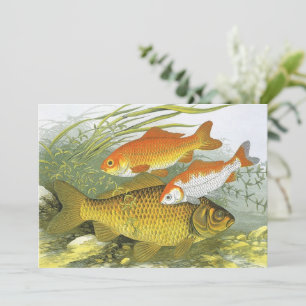 Goudvis Koi Vis, Vintage Mariene Aquatische Zeelev Kaart