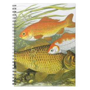 Goudvis Koi Vis, Vintage Mariene Aquatische Zeelev Notitieboek