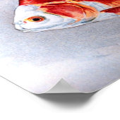 goudvis poster (Hoek)