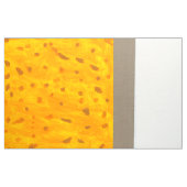 Goudvis Stof (Yard (91,4 cm))