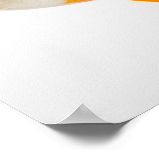 Goudvis, uitzicht aan de zijkant poster (Hoek)