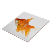 Goudvis, uitzicht aan de zijkant tegeltje (Zijkant)