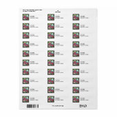 Goudvisluminositeit Etiket (Full Sheet)