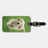 Goudwaluw Bagagelabel (Voorkant horizontaal)