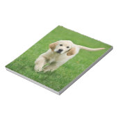 Goudwaluw Notitieblok (Gedraaid)