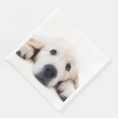 Goudwaluw, schattige puppy liggen neer servet (Hoek)