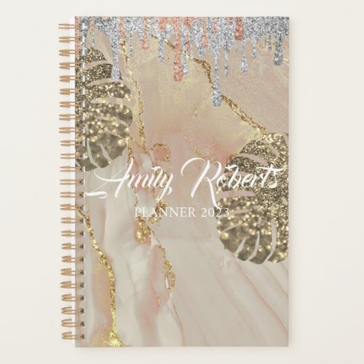 Goudzilversparkanner Planner (Voorkant)