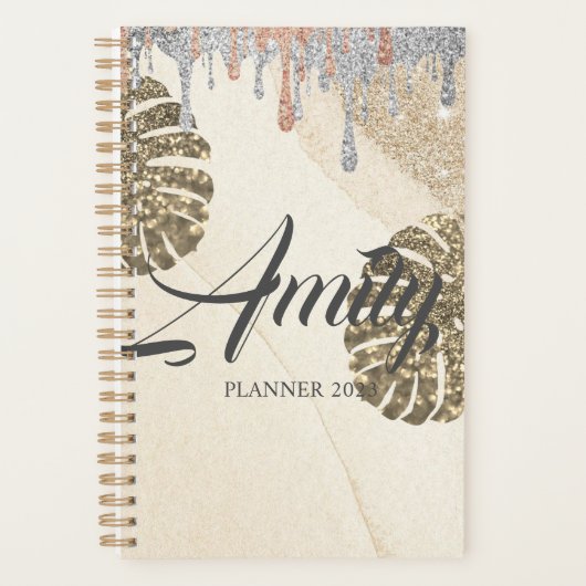 Goudzilversparkanner Planner (Voorkant)