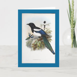 Gould - Ekster Bootan Kaart