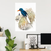 Gould Kingfisher Birds Poster (Thuiskantoor)