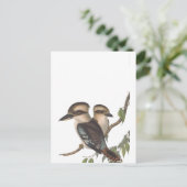 Gould Kookaburra Australiana Aankondigingskaart (Staand voorkant)