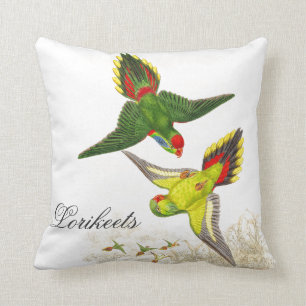 Gould Lorikeet Birds Sierkussen