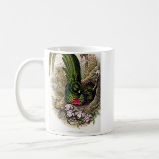 Gould - Quetzal Bookstore Promo Koffiemok (Links)