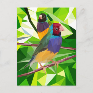 Gouldian Finch Duo Briefkaart