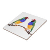 Gouldian Finch Friends Tile Tegeltje (Zijkant)