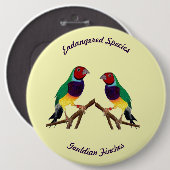 ~ Gouldian Finch ~ Original Art ~ Button (Voorkant /achterkant)