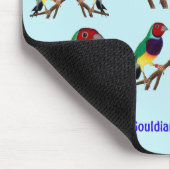 ~ Gouldian Finch ~ Original Art ~ Muismat (Hoek)