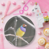 Gouldian vinch papieren bordje (Feest)