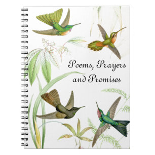 Goulds Hummingbird Notebook Notitieboek