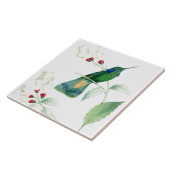 Goulds Hummingbird Tile Tegeltje (Zijkant)