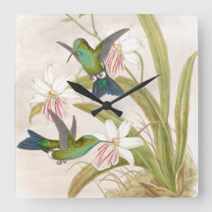 Goulds Hummingbird Wall klok