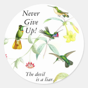 Goulds' kolibries Stickers