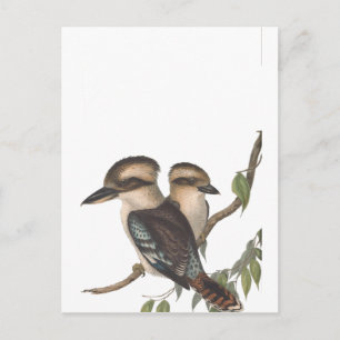 Goulds kookaburra Australische ijsvogel Aankondigingskaart