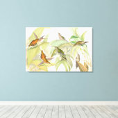 Goulers Hummingbirds toile enveloppée Imprimer (Insitu (Plancher de Bois))