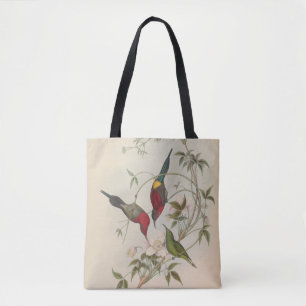 Goulpourah Sun-Bird door John Gould Draagtas