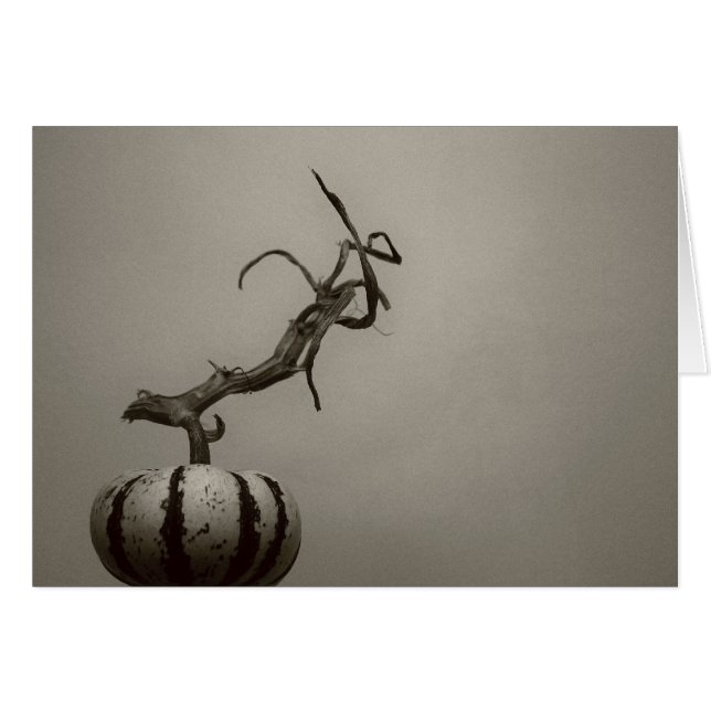 "gourd" van Larry Coressel (Voorkant Horizontaal)