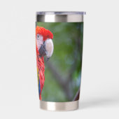 Gourde Isotherme Ara rouge (Gauche)
