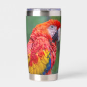 Gourde Isotherme Ara rouge (Extérieur)