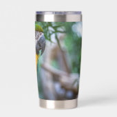 Gourde Isotherme Blue-and-Yellow Macaw (Couvercle)