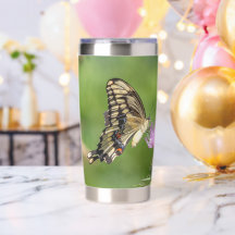 Eastern Giant Swallowtail Butterfly on Thistle