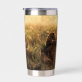 Gourde Isotherme Lion (Gauche)