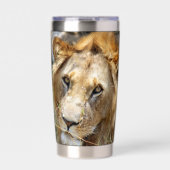 Gourde Isotherme Lion (Extérieur)
