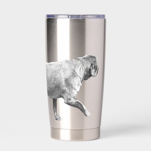 Gourde Isotherme soft frost stride (Couvercle)